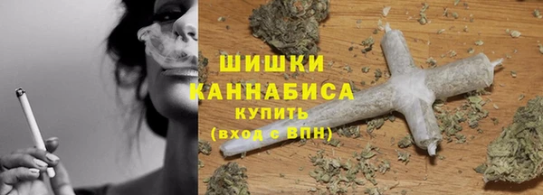 гидропоника Богородицк