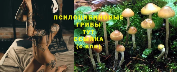 соль курить ск Верхний Тагил